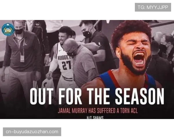 切尔西中场科尔威尔因ACL伤势赛季报销